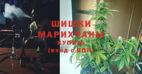 первитин Белокуриха