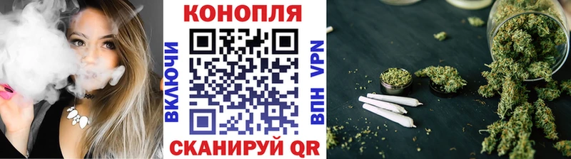 Шишки марихуана марихуана  Купить закладки  Нововоронеж 